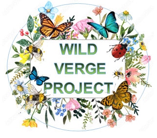 Wild Verge Project Logo 